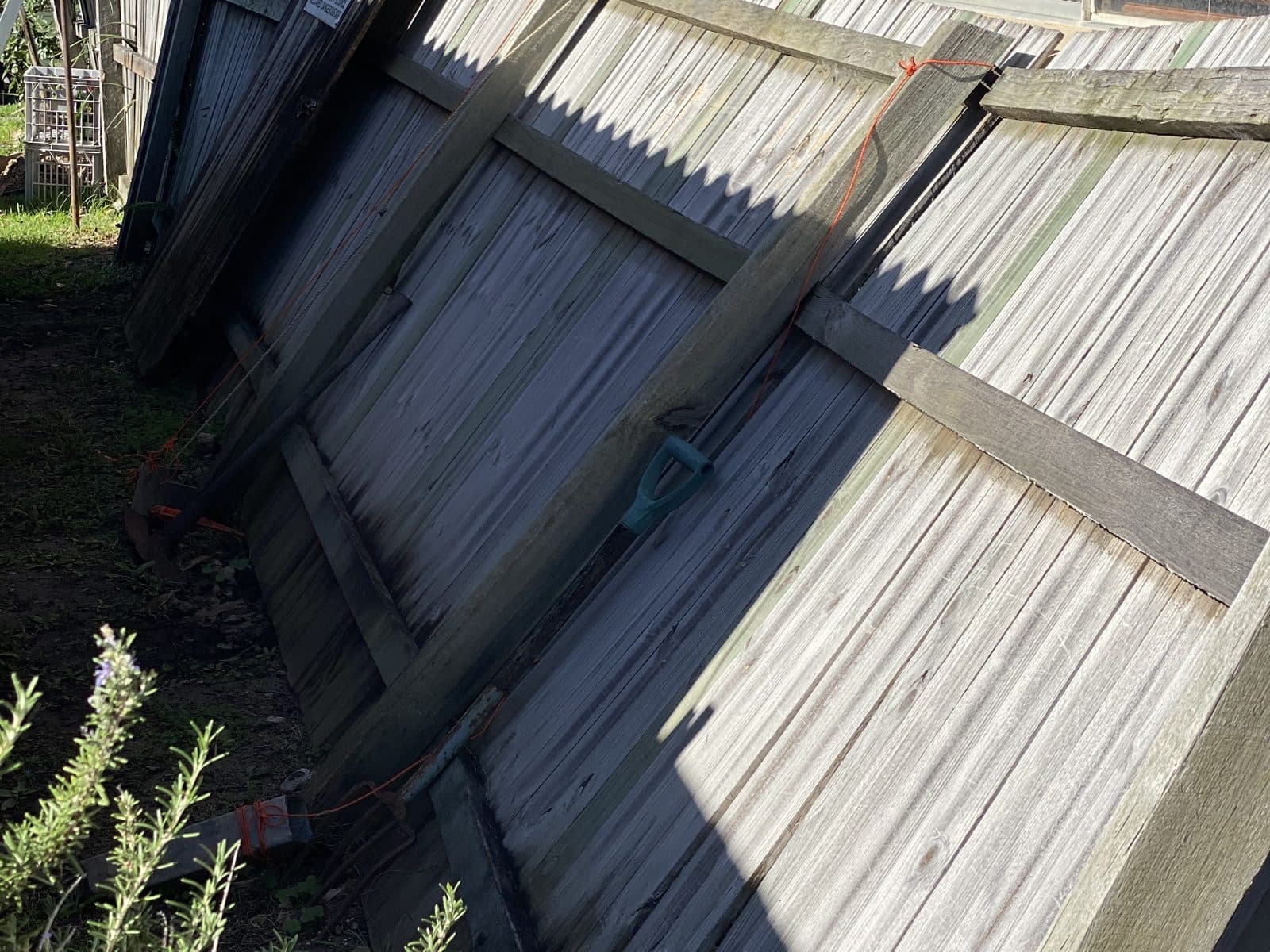 Leaning timber paling fence before repair